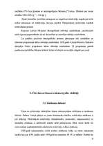 Referāts 'Latvijas un Daugavpils dzīves līmeņa izvērtējums ES ietvaros', 16.