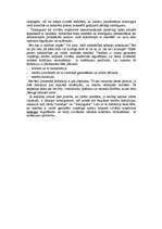 Referāts 'Tiesību norma', 3.