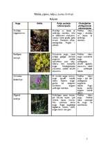 Konspekts 'Mežu, pļavu, kāpu, purvu biotopi', 2.