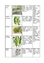 Konspekts 'Mežu, pļavu, kāpu, purvu biotopi', 3.