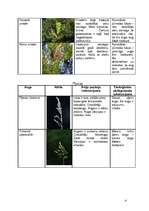 Konspekts 'Mežu, pļavu, kāpu, purvu biotopi', 4.