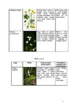 Konspekts 'Mežu, pļavu, kāpu, purvu biotopi', 7.