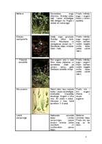 Konspekts 'Mežu, pļavu, kāpu, purvu biotopi', 8.
