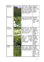 Konspekts 'Mežu, pļavu, kāpu, purvu biotopi', 10.