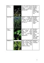 Konspekts 'Mežu, pļavu, kāpu, purvu biotopi', 11.