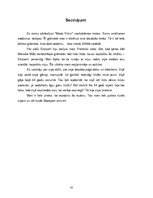 Referāts 'Antuāns de Sent-Ekziperī un viņa darbs "Mazais princis"', 18.