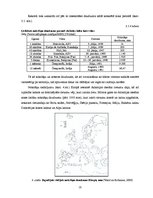 Diplomdarbs 'Latvijas upju baseinu ūdens bilances rādītāju noteikšana', 18.
