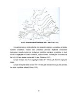 Diplomdarbs 'Latvijas upju baseinu ūdens bilances rādītāju noteikšana', 23.