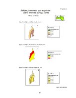 Diplomdarbs 'Latvijas upju baseinu ūdens bilances rādītāju noteikšana', 64.