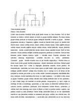 Konspekts 'Dinamiskie procesi mazā grupā. 2.daļa', 19.
