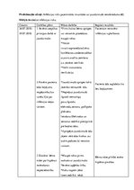 Referāts 'Aprūpes plāns', 9.