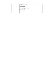 Referāts 'Aprūpes plāns', 10.