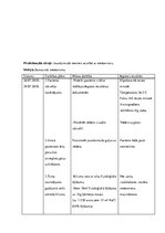 Referāts 'Aprūpes plāns', 13.