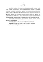 Diplomdarbs 'Sabiedrisko attiecību loma uzņēmuma tēla veidošanā', 4.