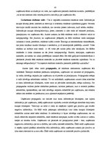 Diplomdarbs 'Sabiedrisko attiecību loma uzņēmuma tēla veidošanā', 43.