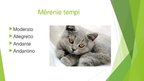 Prezentācija 'Temps mūzikā', 4.