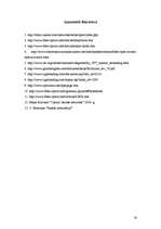 Referāts 'Pieejas tīklos izmantotās optiskās tehnoloģijas', 16.