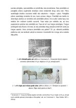 Referāts 'Latviešu zemnieku sauszemes transportlīdzekļi 19.gadsimtā', 5.