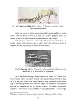 Referāts 'Latviešu zemnieku sauszemes transportlīdzekļi 19.gadsimtā', 17.