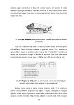 Referāts 'Latviešu zemnieku sauszemes transportlīdzekļi 19.gadsimtā', 18.