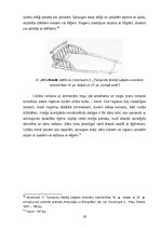 Referāts 'Latviešu zemnieku sauszemes transportlīdzekļi 19.gadsimtā', 19.