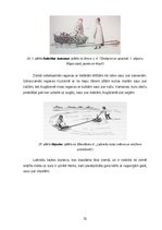 Referāts 'Latviešu zemnieku sauszemes transportlīdzekļi 19.gadsimtā', 21.