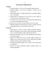 Referāts 'Parlamentāra, prezidentāla un pusprezidentāla republika', 13.