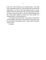 Eseja 'Es - izsaukuma zīme!', 2.