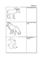 Konspekts 'Pēdas sniegā', 5.