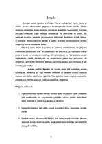 Referāts 'Mazākumtautību jauniešu integrācija vidusskolu klasēs', 3.