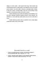 Referāts 'Mazākumtautību jauniešu integrācija vidusskolu klasēs', 25.