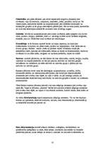 Referāts 'Mazākumtautību jauniešu integrācija vidusskolu klasēs', 30.