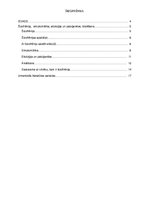 Referāts 'Šizofrēnija', 3.