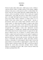 Referāts 'Šizofrēnija', 4.