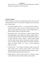 Referāts 'Šizofrēnija', 11.