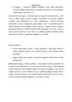 Referāts 'Šizofrēnija', 13.