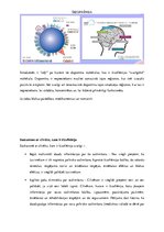 Referāts 'Šizofrēnija', 14.