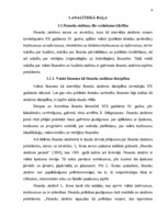 Diplomdarbs 'Pašvaldības budžeta efektīvas izmantošanas organizēšana', 6.