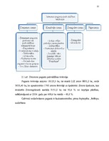 Diplomdarbs 'Pašvaldības budžeta efektīvas izmantošanas organizēšana', 35.