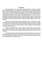 Referāts 'Slēgts teodolīta gājiens', 11.
