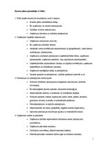 Paraugs 'Biznesa plāna pamatdaļas', 1.