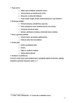 Paraugs 'Biznesa plāna pamatdaļas', 2.