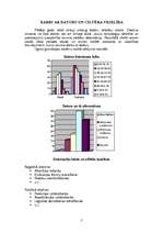 Referāts 'Datora ietekme uz veselību', 2.