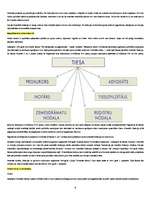 Referāts 'Notariāta tiesības', 6.