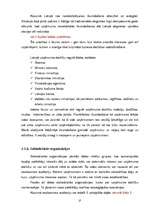 Referāts 'SIA "X" saimniecības analīze', 27.