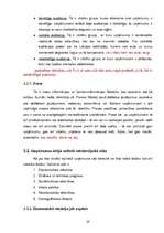 Referāts 'SIA "X" saimniecības analīze', 28.