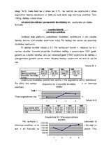 Referāts 'SIA "X" saimniecības analīze', 40.