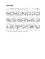 Referāts '1934.gada 15.maija apvērsuma juridisks raksturojums', 10.