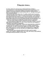 Referāts 'Nākotnes enerģijas avots – ūdeņradis', 4.