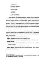 Referāts 'Cilvēktiesību aizsardzības mehānismi Latvijā', 4.